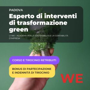Esperto di interventi di trasformazione green
